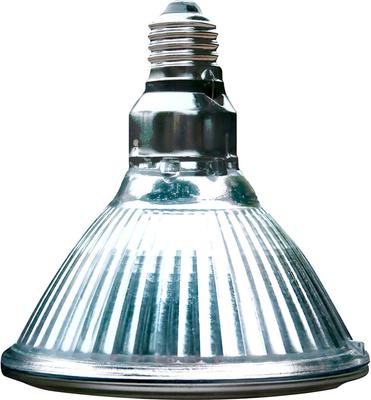 Show full view: Arcadia Reptile GoldenSun Reptile Halogen Heat Lamp, 100-watt slide 4 of 4
