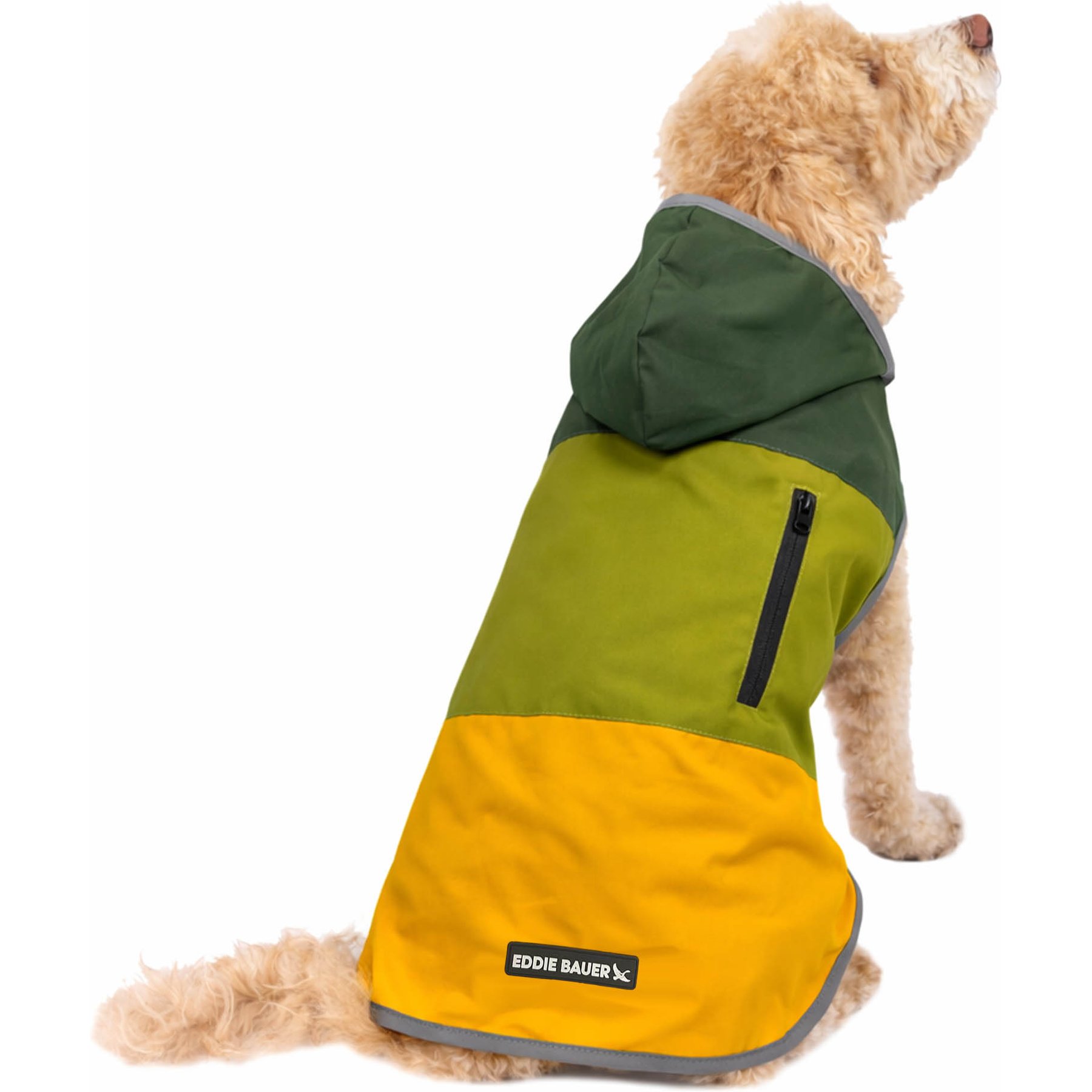 Eddie Bauer PET Ravenna Waterproof Dog Windbreaker Coat, Green & Yellow, Medium
