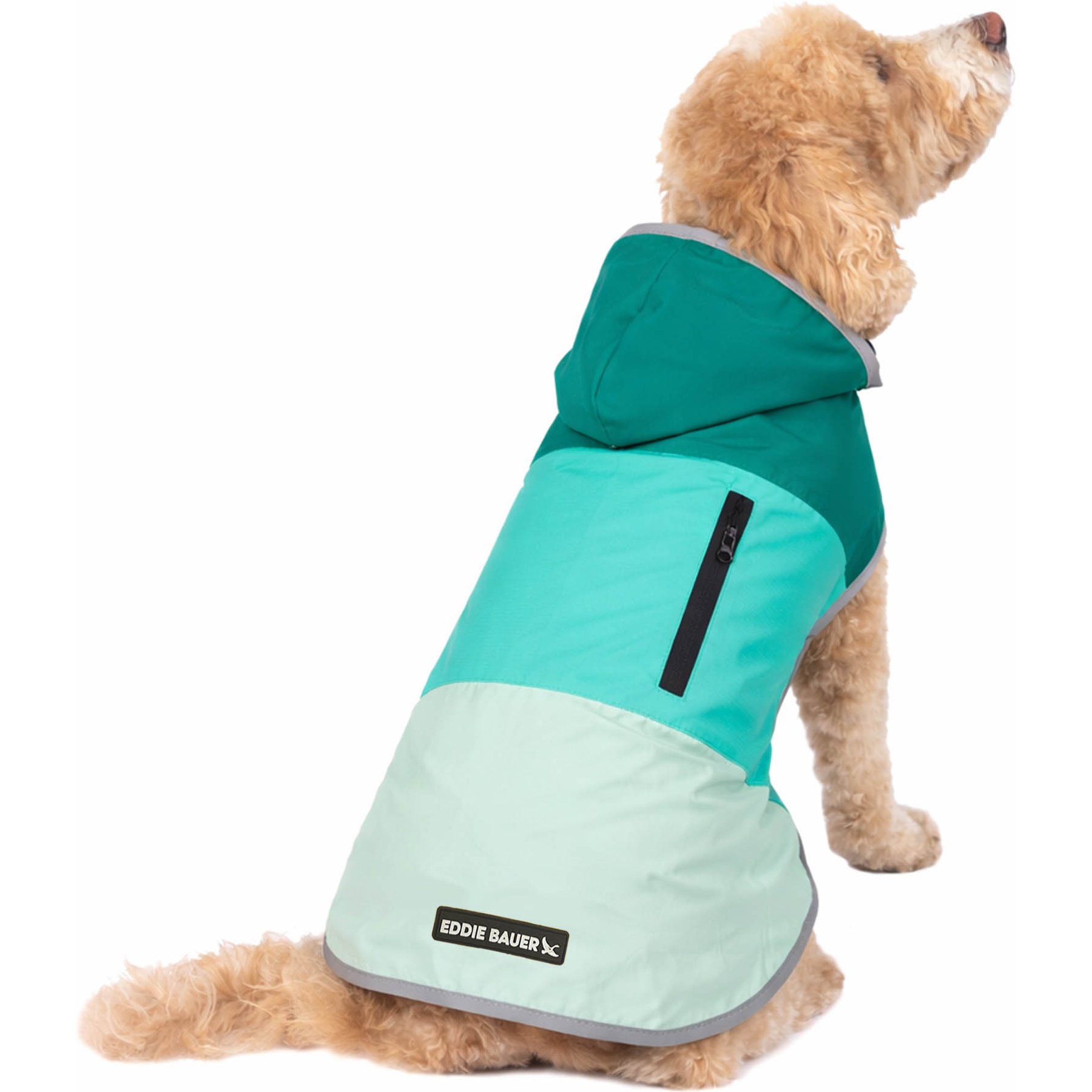 Eddie Bauer PET Ravenna Waterproof Dog Windbreaker Coat, Sea Spray Blue, Medium
