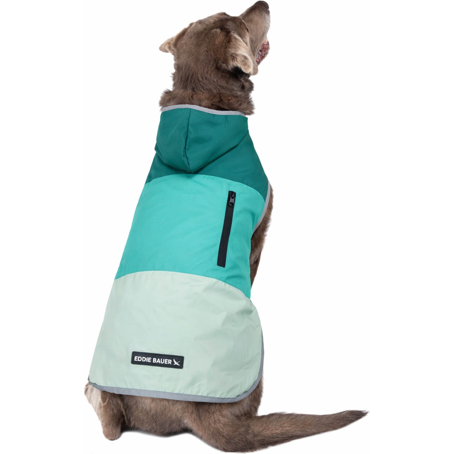 Eddie Bauer PET Ravenna Waterproof Dog Windbreaker Coat, Sea Spray Blue, X-Large