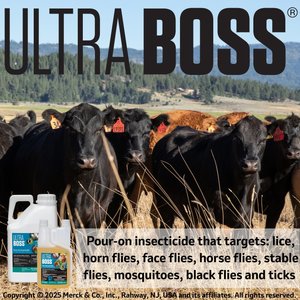 Ultra Boss Pour-On Insecticide Fly & Insect Control for Cattle, Sheep, Goats & Horses, 1-quart bottle