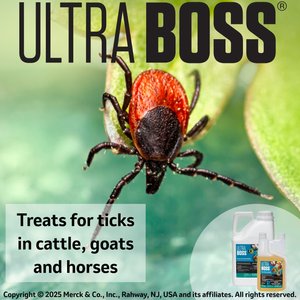 Ultra Boss Pour-On Insecticide Fly & Insect Control for Cattle, Sheep, Goats & Horses, 1-quart bottle