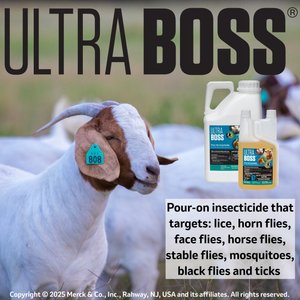 Ultra Boss Pour-On Insecticide Fly & Insect Control for Cattle, Sheep, Goats & Horses, 1-quart bottle