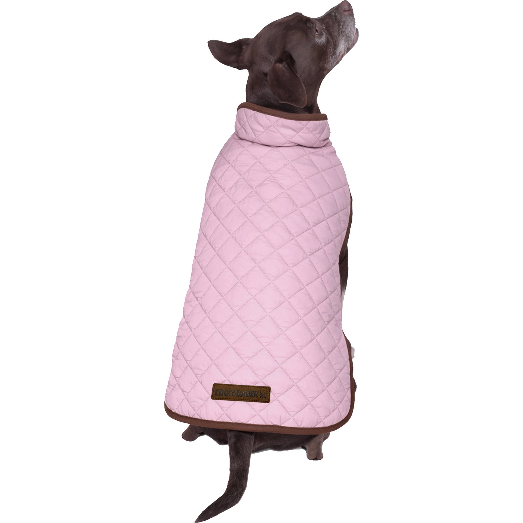 Eddie Bauer Bandon Quilted Windbreaker Dog Coat, Dusty Pink, X-Small
