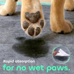 Pawtasy Odor-Eliminating Activated Carbon Dog Training Pads, 22 x 22-in, Unscented, 100 count slide 2 of 9
