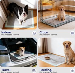 Pawtasy Odor-Eliminating Activated Carbon Dog Training Pads, 22 x 22-in, Unscented, 50 count slide 2 of 9