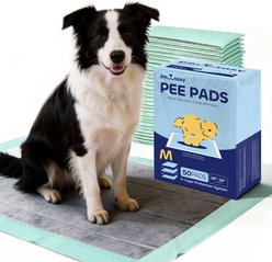 Pawtasy Odor-Eliminating Activated Carbon Dog Training Pads, 28 x 34-in, Unscented, 50 count