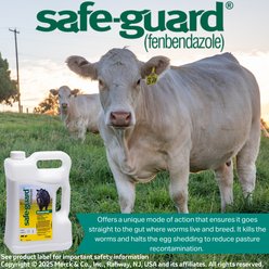 Safe-Guard Dewormer Suspension 10% for Cattle, 1-gallon bottle slide 2 of 2