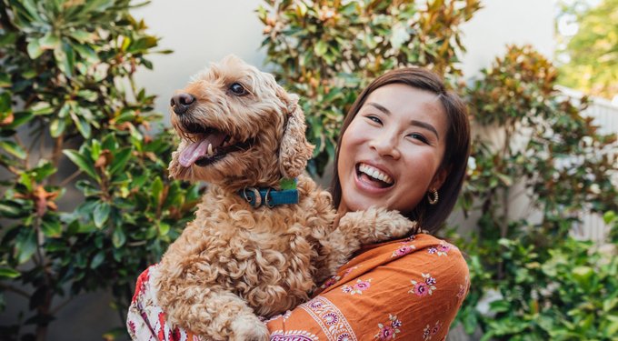 Simparica Trio Chewable Tablet for Dogs, 5.6-11.0 lbs, (Purple Box)