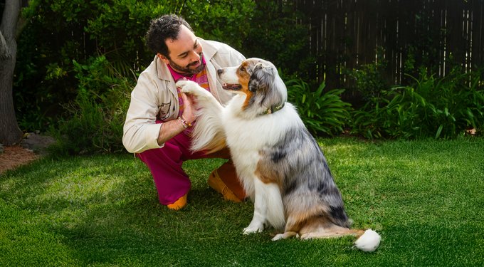 Simparica Trio Chewable Tablet for Dogs, 5.6-11.0 lbs, (Purple Box)