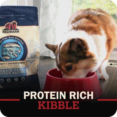Show full view: Redbarn Grain-Free Puppy Recipe Dry Dog Food, 4-lb bag slide 8 of 11