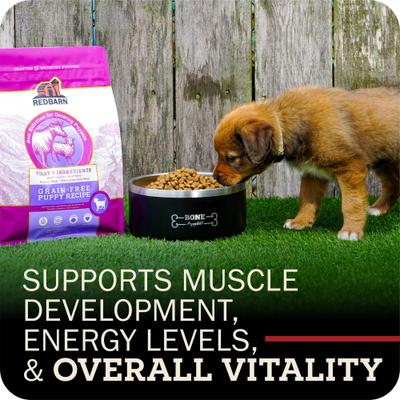 Show full view: Redbarn Grain-Free Puppy Recipe Dry Dog Food, 4-lb bag slide 7 of 11