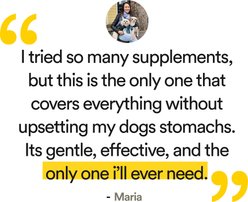 VitaDog Nutrition Daily All-in-One Powder Beef Flavor Supplement for Dogs, 21.2-oz bag slide 2 of 9