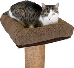 Kitty City Polyester & Plastic Removable Bed Cat Perch Cushion Platform, Brown