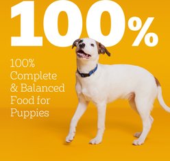 Pedigree Puppy Growth & Protection Chicken & Vegetable Flavor Dry Dog Food, 3.5-lb bag slide 2 of 9