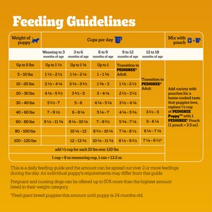 Pedigree Puppy Growth & Protection Grilled Steak & Vegetable Flavor Dry Dog Food, 14-lb bag
