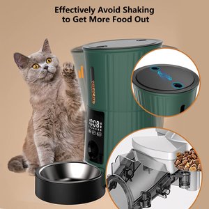 PATPET Timed Automatic Dog & Cat Feeder with 10s Voice Recorder, 4-L, Green