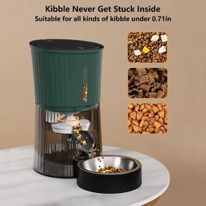 PATPET Timed Automatic Dog & Cat Feeder with 10s Voice Recorder, 4-L, Green