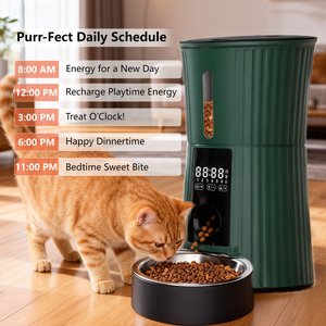 PATPET Timed Automatic Dog & Cat Feeder with 10s Voice Recorder, 4-L, Green