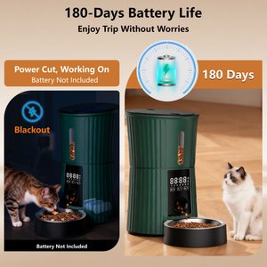 PATPET Timed Automatic Dog & Cat Feeder with 10s Voice Recorder, 4-L, Green