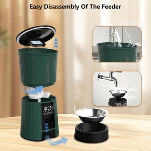 PATPET Timed Automatic Dog & Cat Feeder with 10s Voice Recorder, 4-L, Green