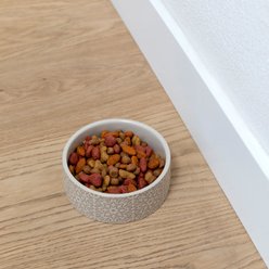 Fringe Studio Sevilla Tile Sand Stoneware Dog & Cat Bowl, Multicolor, Small slide 2 of 2