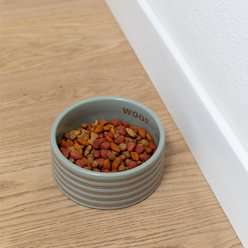 Fringe Studio Stripe Sage Stoneware Dog Bowl, Multicolor, Medium: 3.25-cup slide 2 of 2