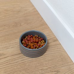 Fringe Studio Stripe Charcoal Stoneware Dog Bowl, Multicolor, Small: 1.5-cup slide 2 of 2
