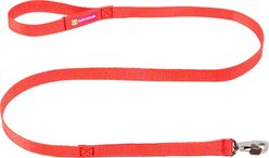 Ruffwear Front Range™ Flex Polyester Dog Leash, 5-ft long, 0.98-in wide, Rose Violet