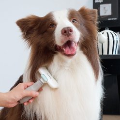 Pet Marvel Straight Shape Dog & Cat Deshedding Brush, Grey slide 2 of 8