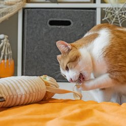 P.L.A.Y. Pet Lifestyle and You Feline Frenzy Kicker Halloween Mummy Cat Plush Toy with Catnip, Multicolor slide 2 of 4