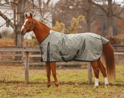 Jacks Heritage Collection Zeus 1680 Denier with 260 Gram Lining Turnout Blanket, Gray, 72-in