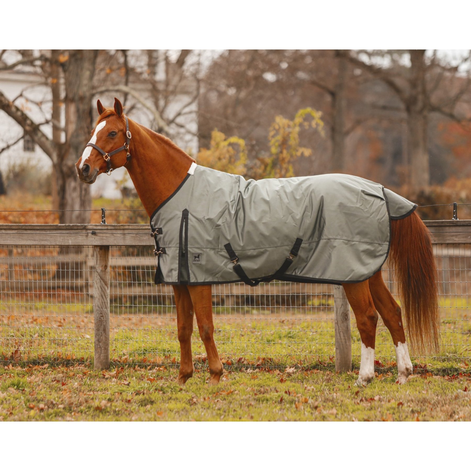Jacks Heritage Collection Zeus 1680 Denier with 260 Gram Lining Turnout Blanket, Gray, 78-in