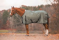 Jacks Heritage Collection Zeus 1680 Denier with 400 Gram Lining Turnout Blanket, Gray, 72-in