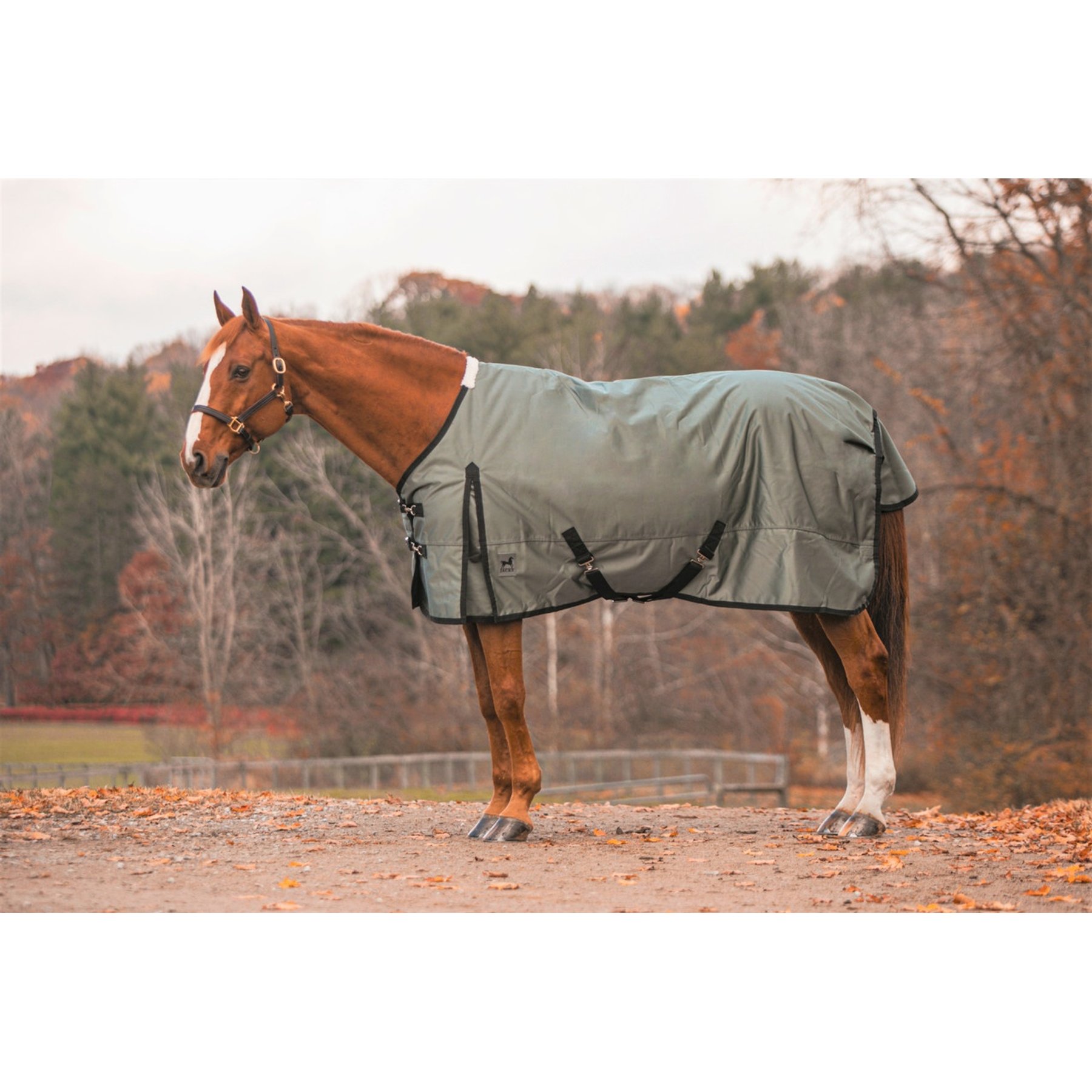Jacks Heritage Collection Zeus 1680 Denier with 400 Gram Lining Turnout Blanket, Gray, 86-in