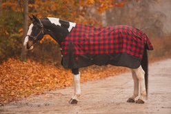Jacks Heritage Collection Kratos 1200 Denier with 350 Gram Lining Turnout Blanket, 86-in