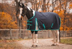 Jacks Heritage Collection Kratos 1200 Denier with 260 Gram Lining Turnout Blanket, Navy, 76-in