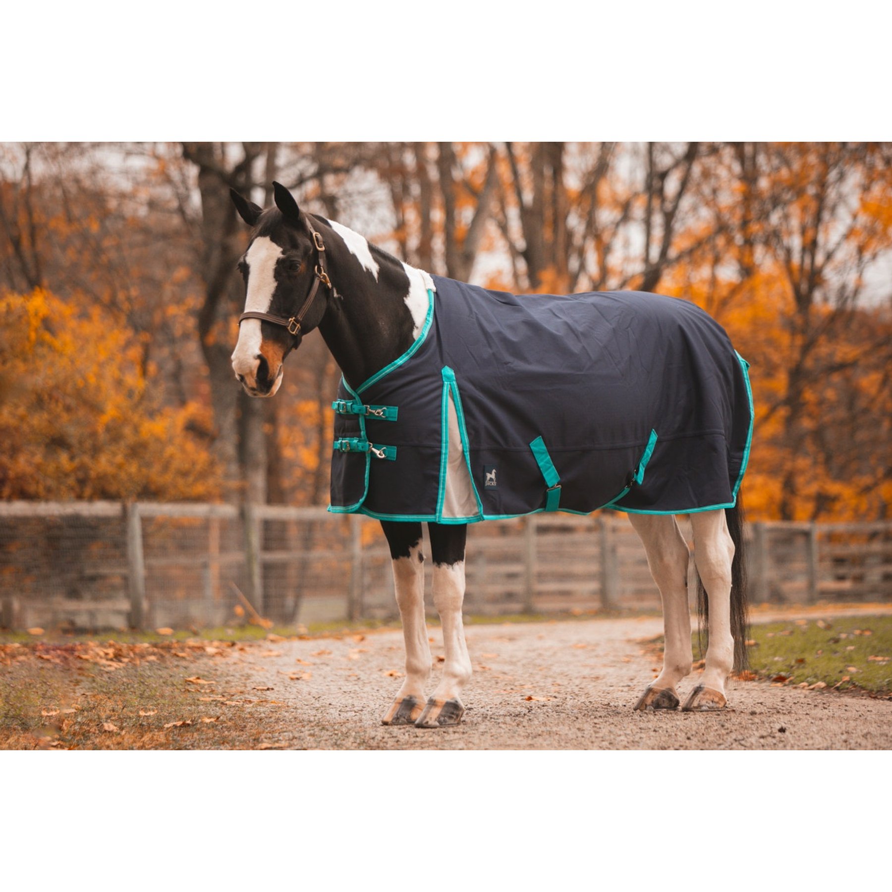 Jacks Heritage Collection Kratos 1200 Denier with 350 Gram Lining Turnout Blanket, Navy, 74-in