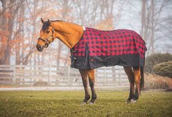 Jacks Heritage Collection Kratos 1200 Denier Turnout Sheet, Red Buffalo, 84-in slide 1 of 4