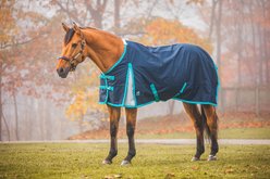 Jacks Heritage Collection Kratos 1200 Denier Turnout Sheet, Navy, 72-in