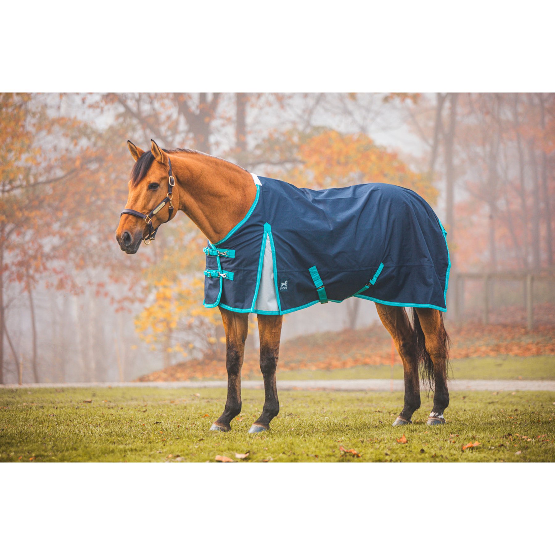 Jacks Heritage Collection Kratos 1200 Denier Turnout Sheet, Navy, 76-in