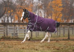 Jacks Heritage Collection Boreas 1200 Denier with 350 Gram Lining & Reflective Stripes Turnout Blanket, Purple, 72-in