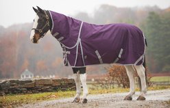 Jacks Heritage Collection Boreas 1200 Denier with 260 Gram Lining & Reflective Stripes Turnout Blanket, Purple, 72-in