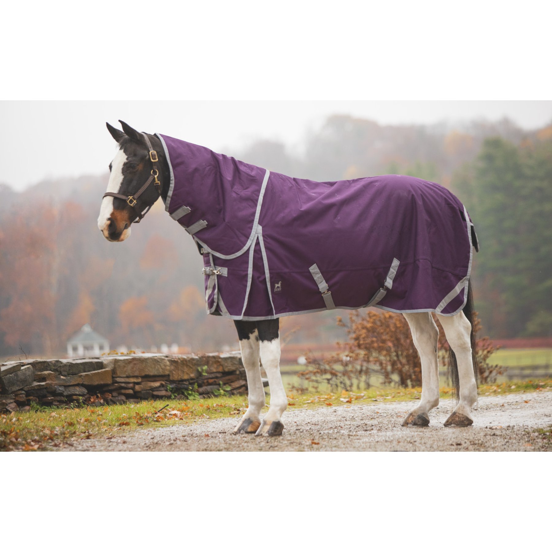 Jacks Heritage Collection Boreas 1200 Denier with 260 Gram Lining & Reflective Stripes Turnout Blanket, Purple, 76-in