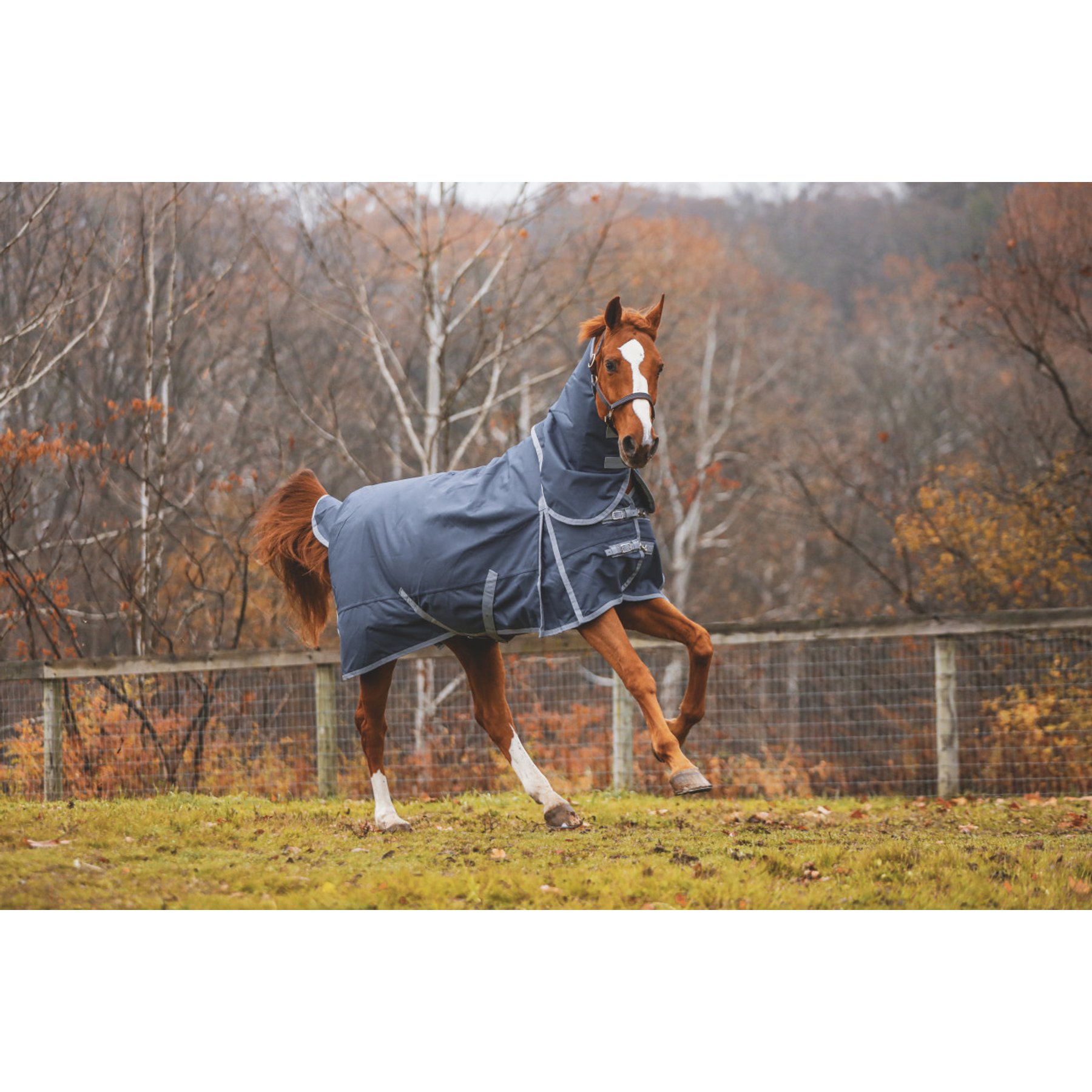 Jacks Heritage Collection Boreas Ink 1200 Denier with 350 Gram Lining Turnout Blanket, Blue, 86-in