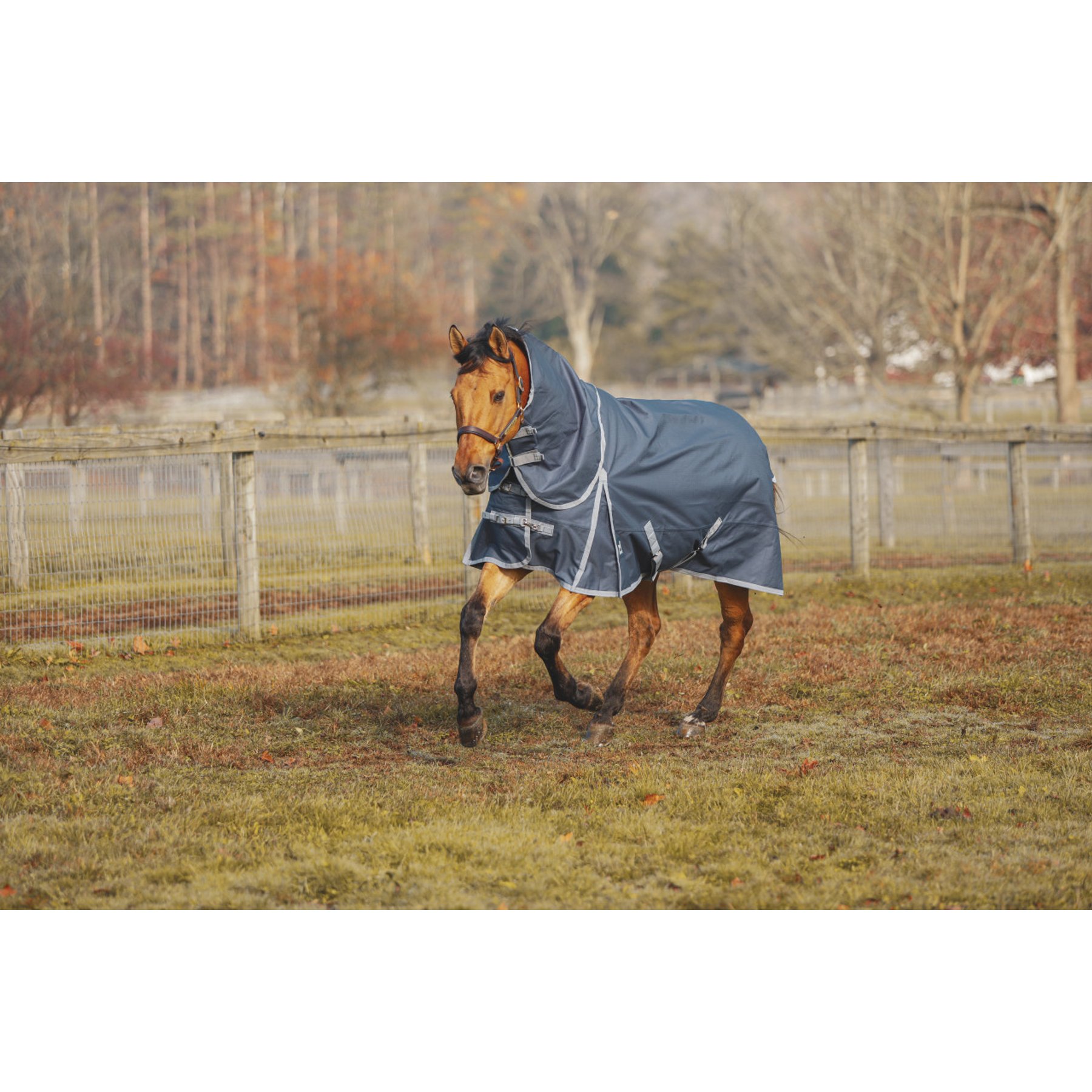 Jacks Heritage Collection Boreas Ink 1200 Denier Turnout Sheet, Blue, 76-in