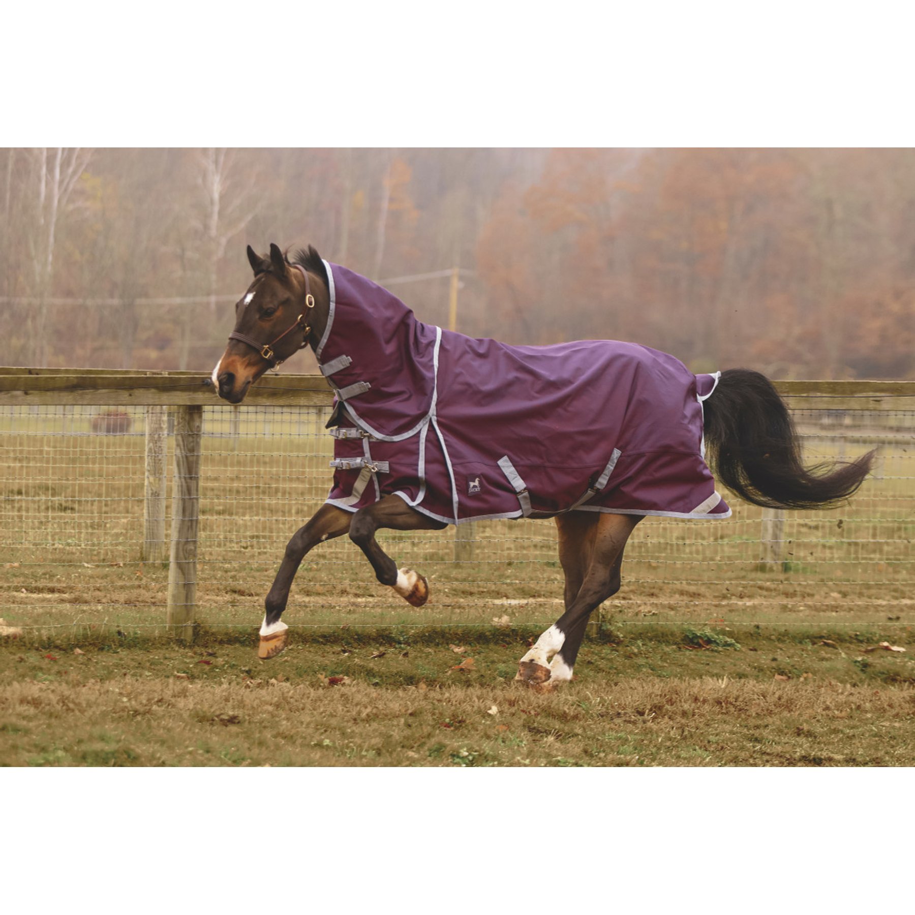 Jacks Heritage Collection Boreas 1200 Denier & Reflective Stripes Turnout Sheet, Purple, 74-in