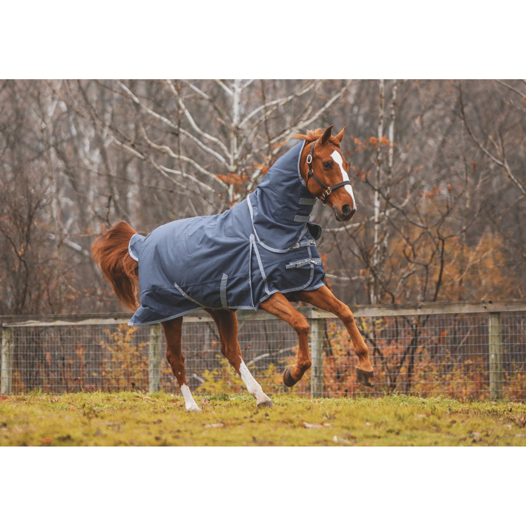 Jacks Heritage Collection Boreas Ink 1200 Denier with 260 Gram Lining Turnout Blanket, Blue, 78-in