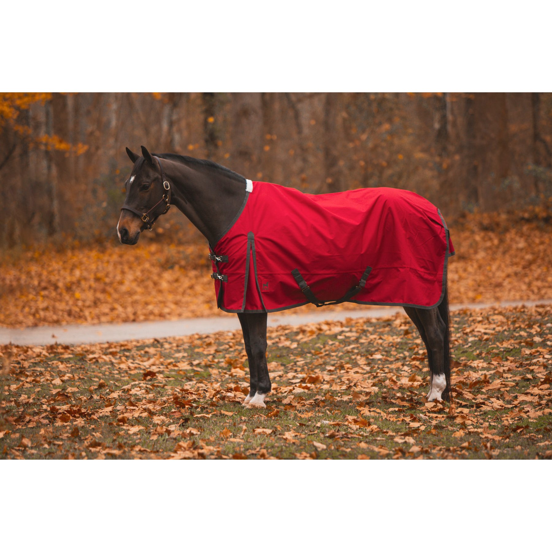 Jacks Heritage Collection Atlas 600 Denier Turnout Sheet, Red, 84-in