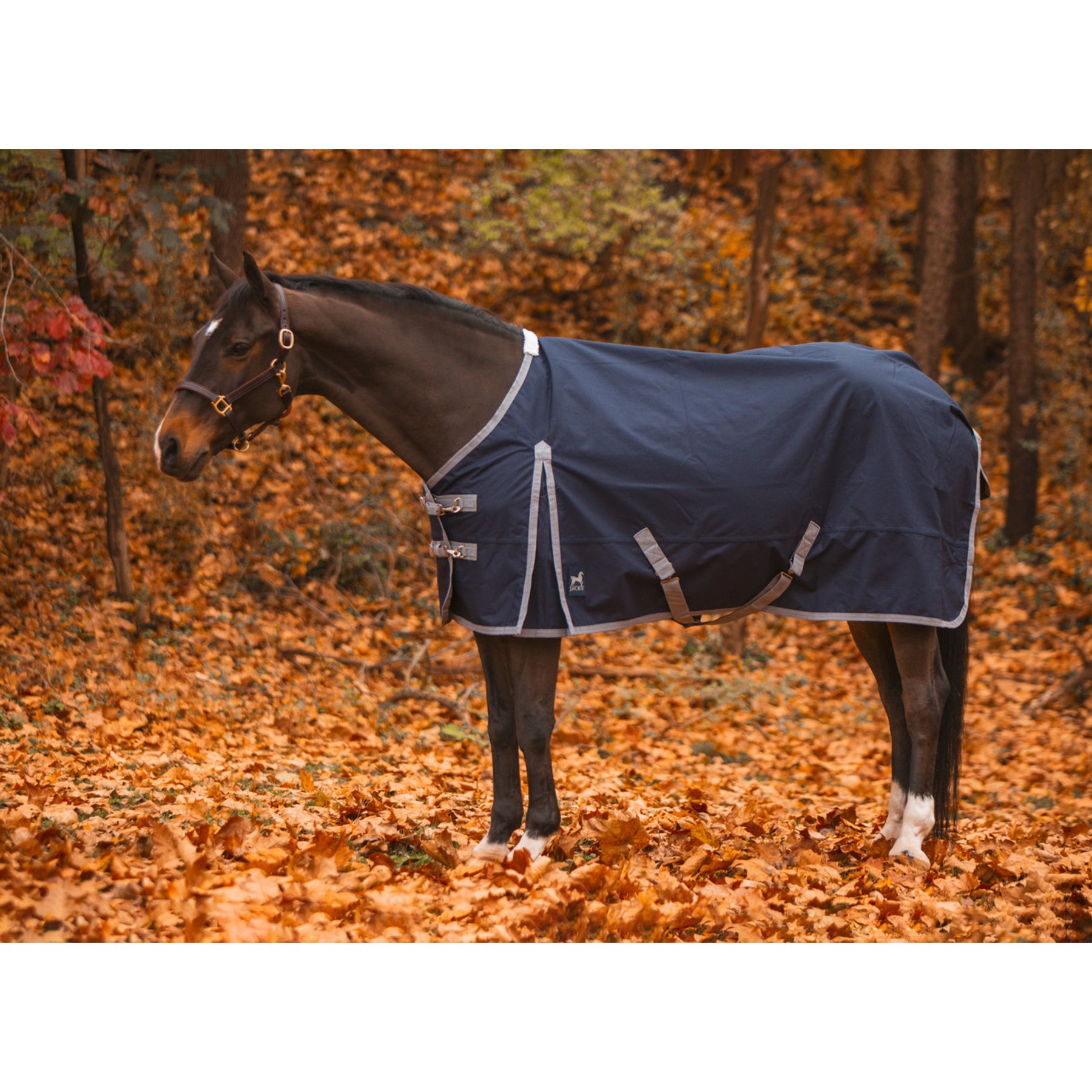 Jacks Heritage Collection Atlas 600 Denier Turnout Sheet, Navy, 76-in